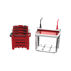 Blot : Mini Vertical Blot TRMB-601